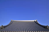 tkf001_556118