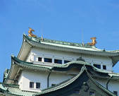 tkf001_557310