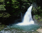 tkf001_557324
