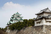 tkf001_557629