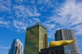 tkf001_561332