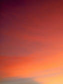 tkf003_106970