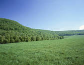 tkf003_107747