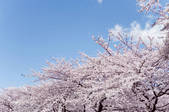 tkf003_109296