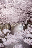tkf003_110692