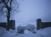 tkf003_111752