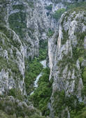 tkf003_114706