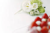 tkf003_115066