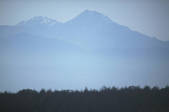 tkf003_117106