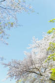 tkf003_123563