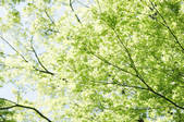 tkf003_130606