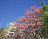 tkf003_130926