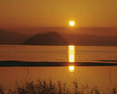 tkf003_132201