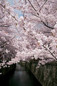 tkf003_132473