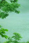 tkf003_133046