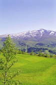 tkf003_133552