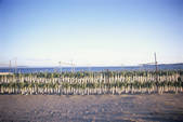 tkf003_135906