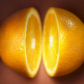 tkf001_696602