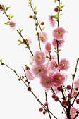 tkf001_701713