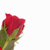 tkf001_703093