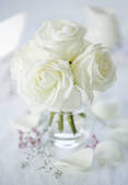 tkf001_703806