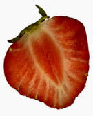 tkf001_704013