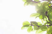 tkf001_880644