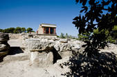 tkf001_894696