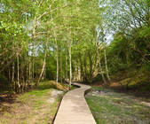 tkf001_904400