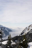 tkf001_915960