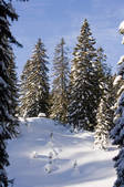 tkf001_916916