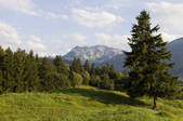 tkf001_916942
