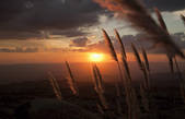 tkf001_916954