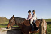 tkf001_917208