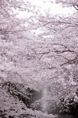 tkf003_142330