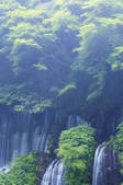 tkf003_150794
