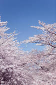 tkf003_155860
