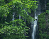 tkf003_156688