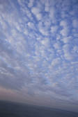 tkf003_158411