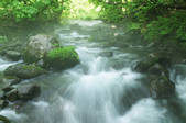 tkf003_159129