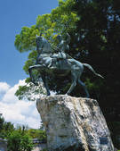 tkf003_164981