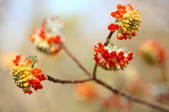tkf003_166096