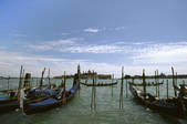 tkf003_168279