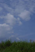 tkf003_176399