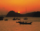 tkf003_177240