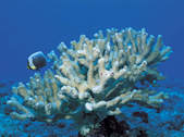 tkf003_261029