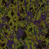 tkf003_261062