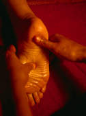 tkf003_263284