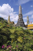 tkf003_346750