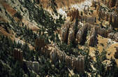tkf003_347976